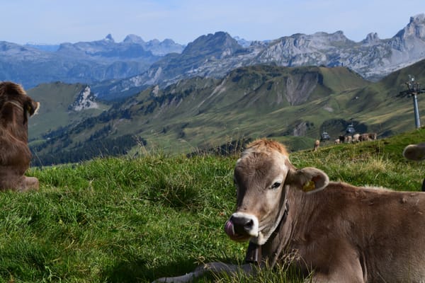 Some Swiss Pics...